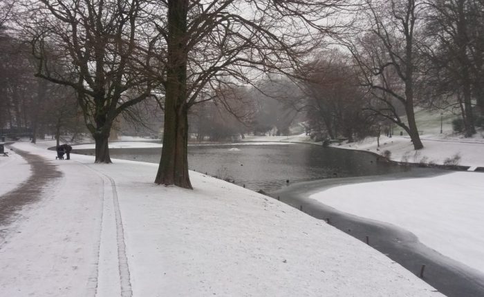 Flocons sur la&nbsp;langue